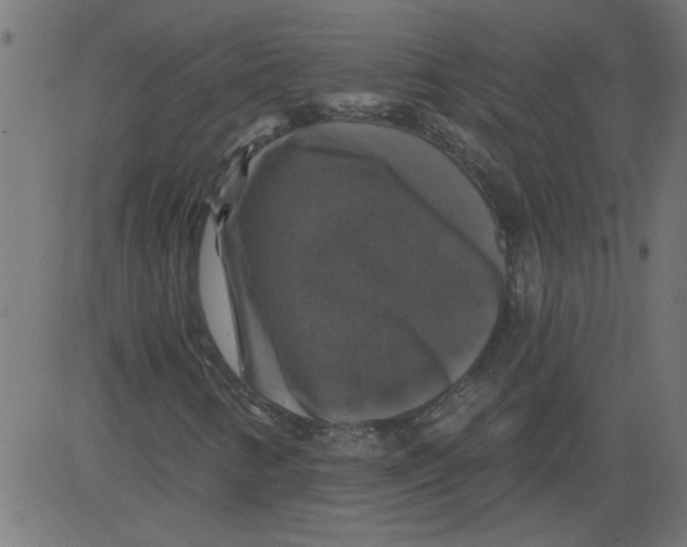 X0000081361346200702020130