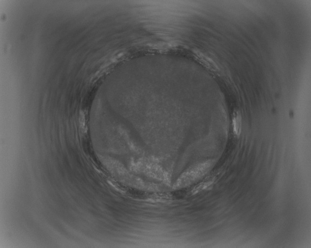 X0000081361347200702020130