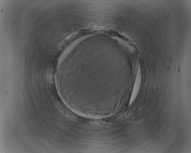 X0000081361348200702020130