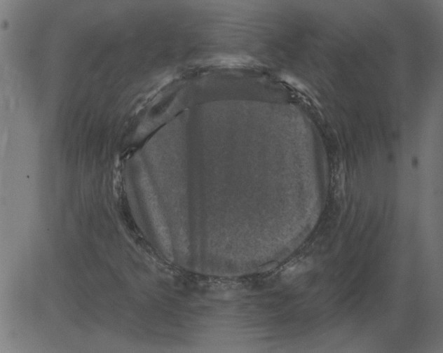 X0000081361349200702020130