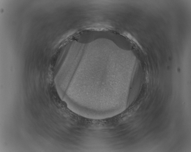 X0000081361350200702020130