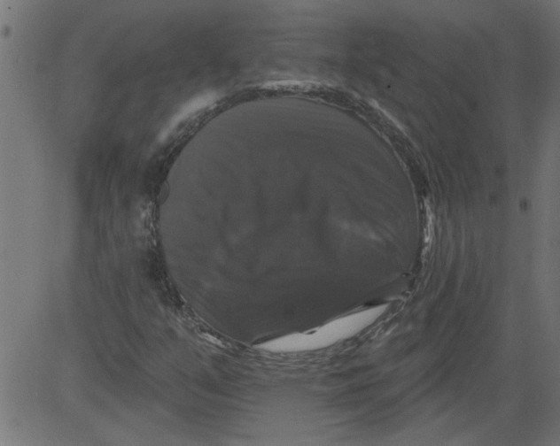 X0000081361351200702020130