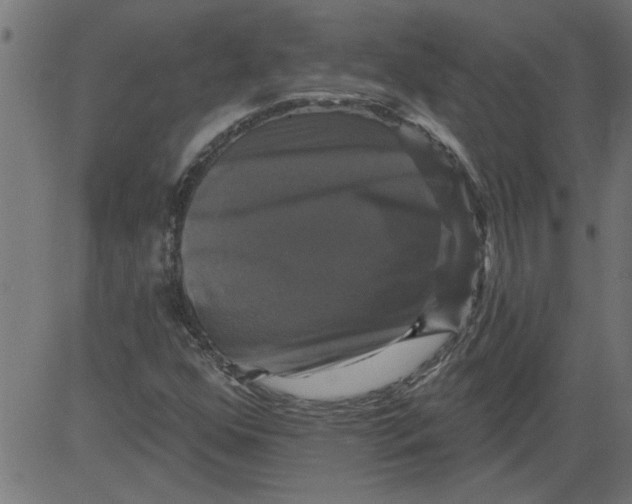 X0000081361352200702020130