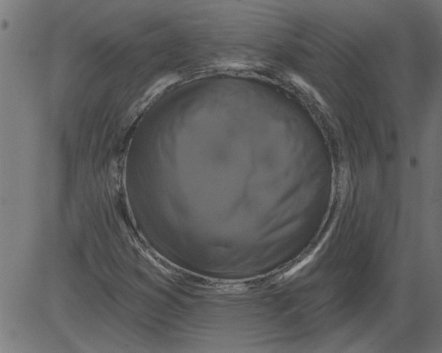 X0000081361353200702020130