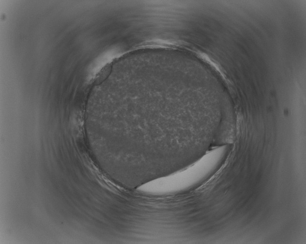 X0000081361355200702020130