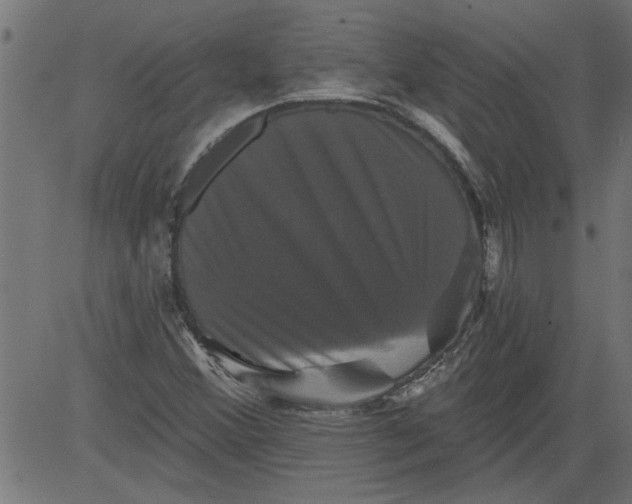 X0000081361356200702020129