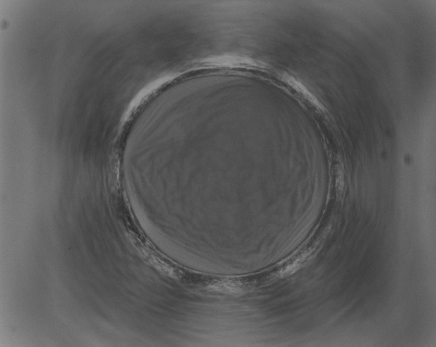 X0000081361358200702020129