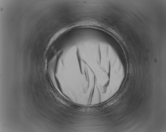X0000081361366200702020129