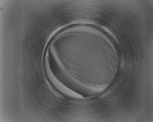 X0000081361372200702020129