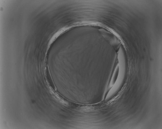X0000081361373200702020129