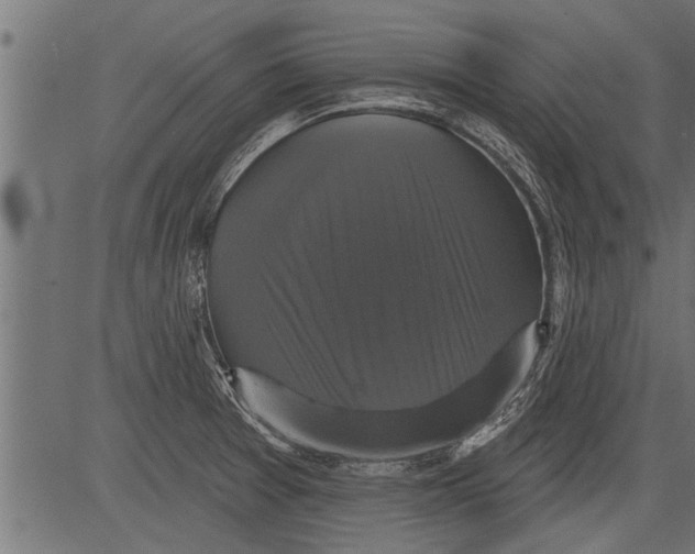 X0000081361377200702020129