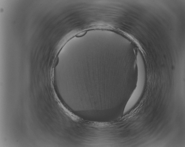 X0000081361383200702020129