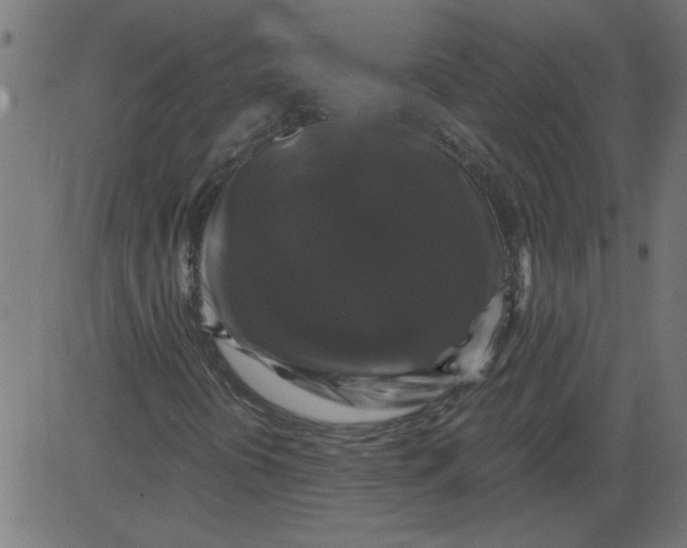 X0000081361394200702020128