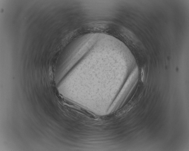 X0000081361395200702020128