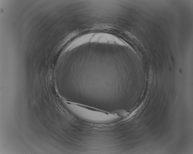 X0000081361401200702020128
