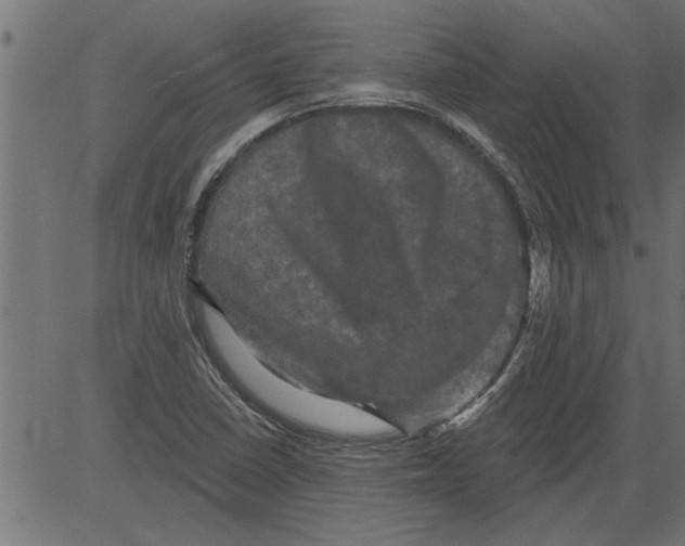 X0000081361410200702020128