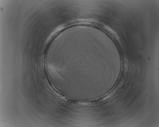 X0000081361411200702020128