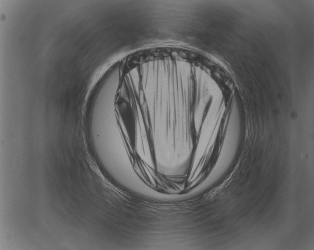 X0000081361414200702020128
