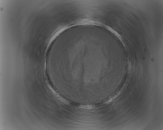 X0000081361415200702020128