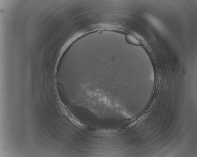 X0000081361427200702020129