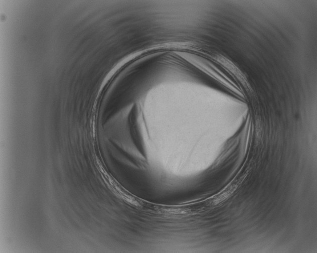 X0000081361436200702020129