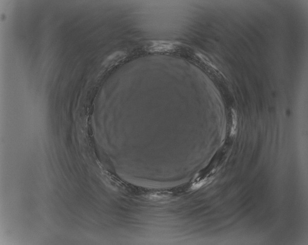 X0000081361441200702020128