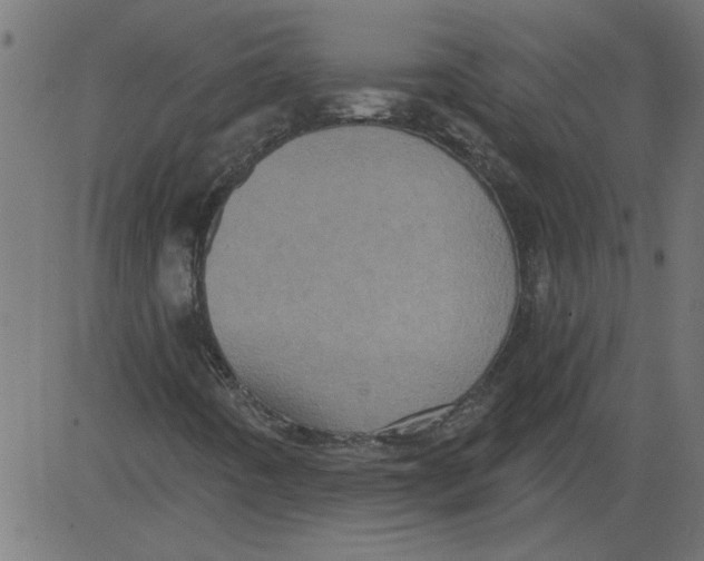 X0000081361442200702020128