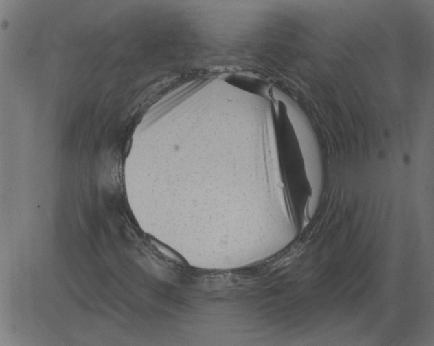 X0000081361444200702020128