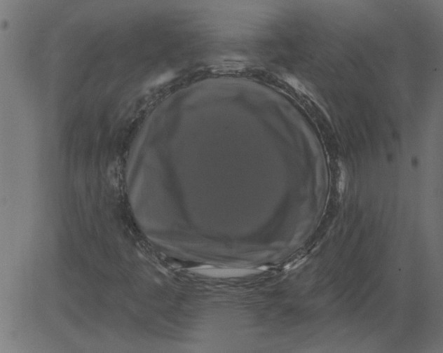 X0000081361445200702020128