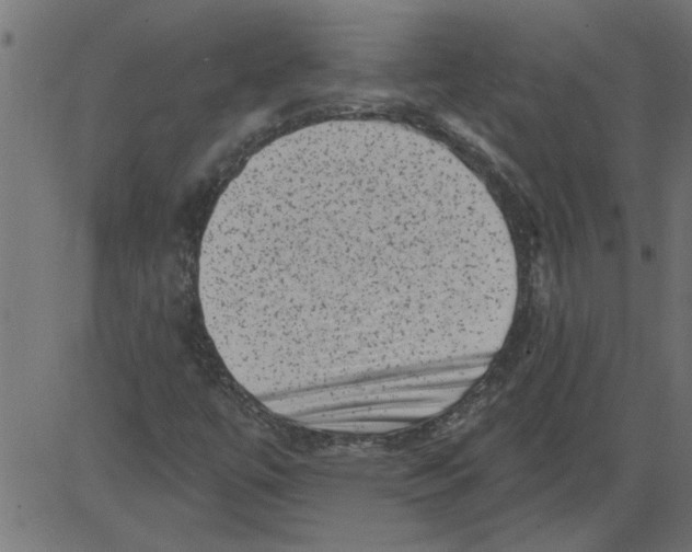 X0000081361447200702020128