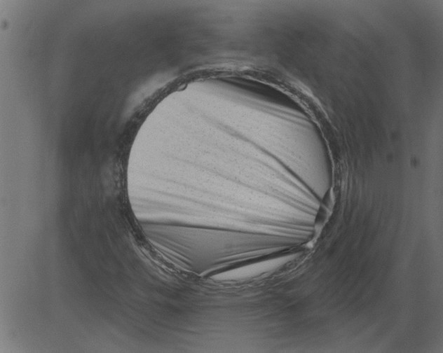 X0000081361448200702020128