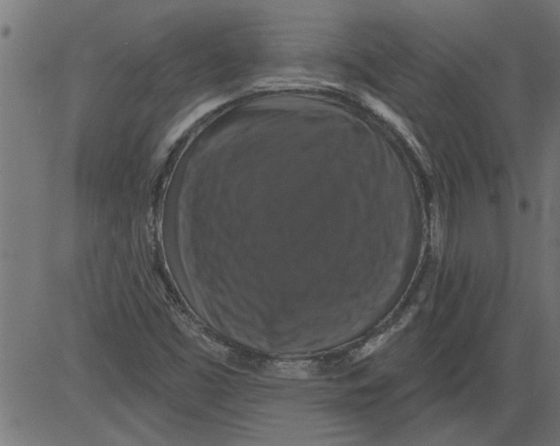 X0000081361453200702020128