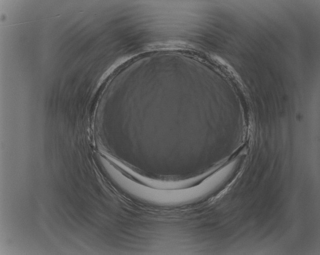 X0000081361457200702020128