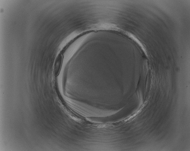X0000081361469200702020128
