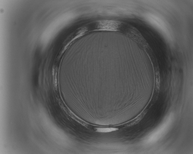 X0000081361487200702020127