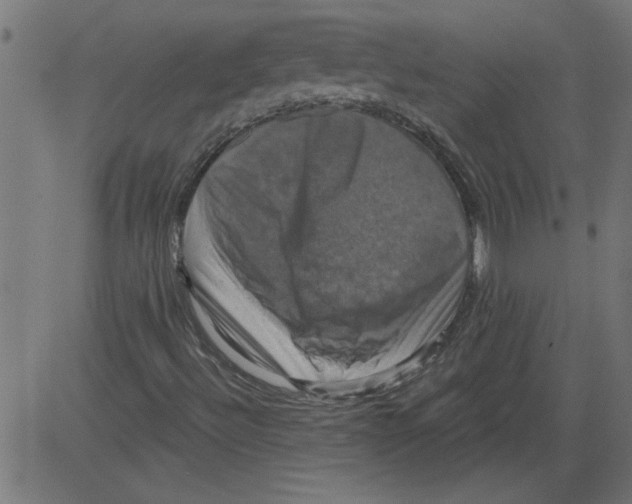 X0000081361492200702020127