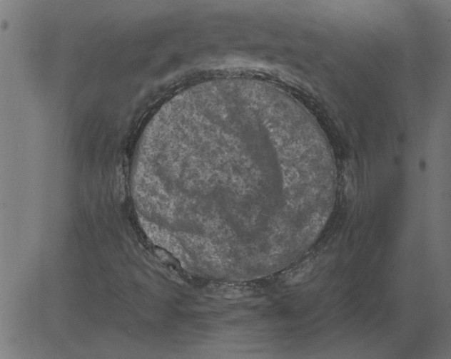 X0000081361493200702020127