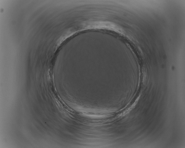 X0000081361497200702020127