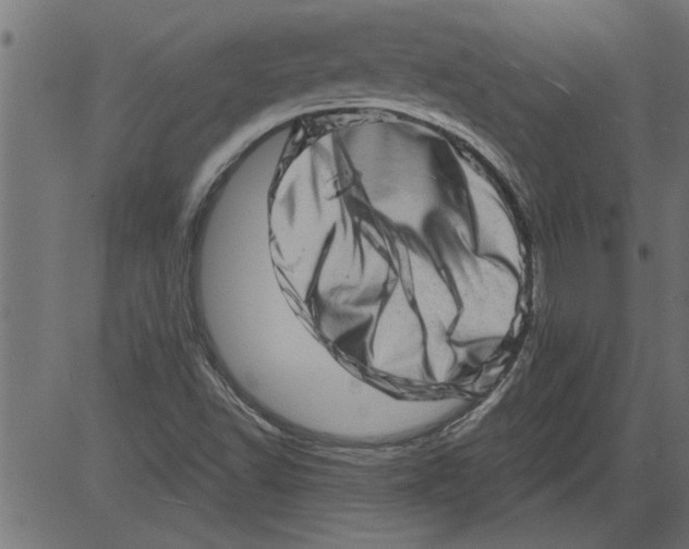 X0000081361502200702020127