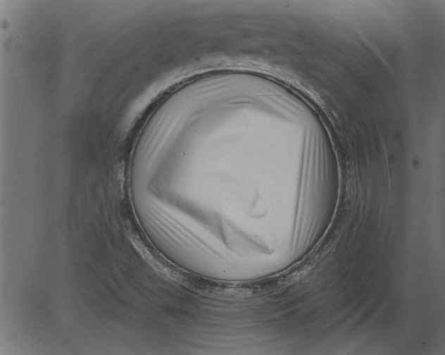 X0000081361503200702020127