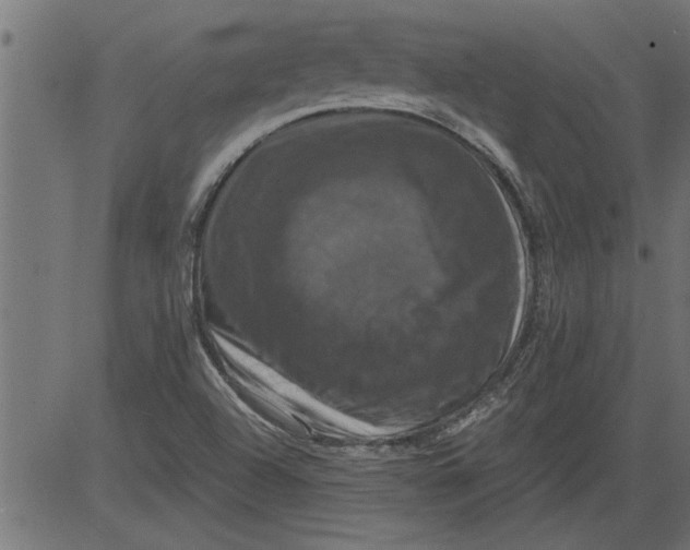 X0000081361504200702020127