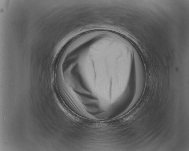 X0000081361511200702020127