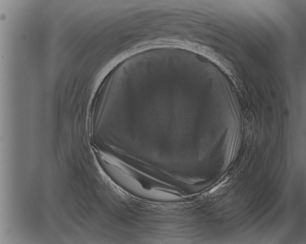X0000081361527200702020127