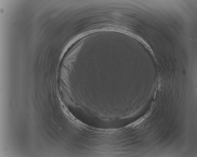 X0000081361530200702020127