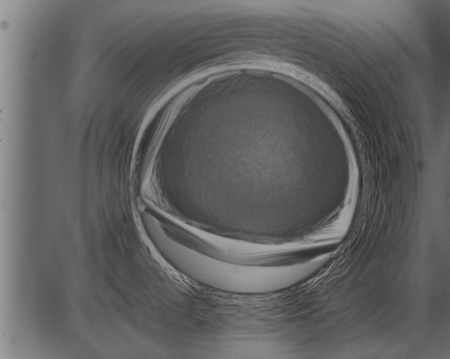 X0000081361536200702020127