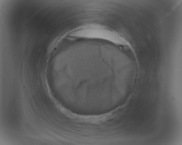 X0000081360001200702082332