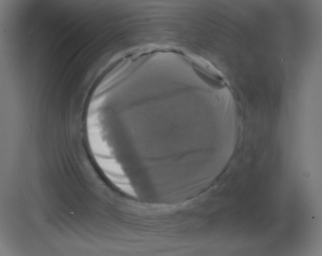 X0000081360002200702082332