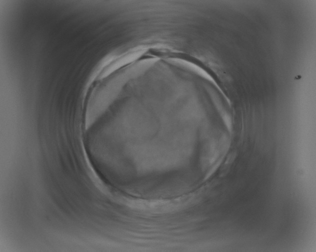 X0000081360003200702082332