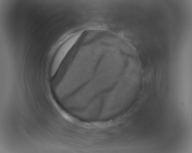 X0000081360005200702082332