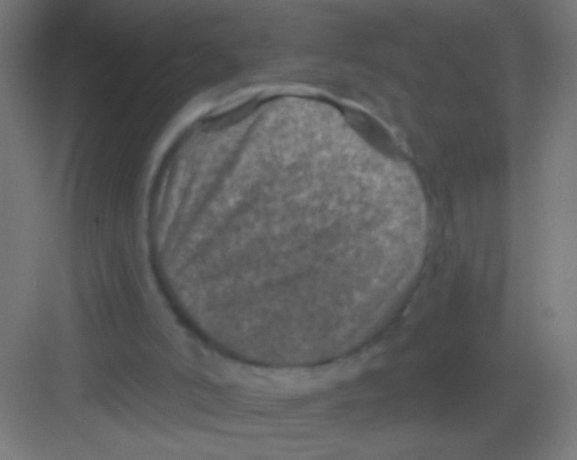 X0000081360006200702082332